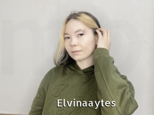 Elvinaaytes