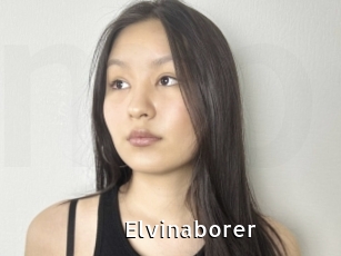 Elvinaborer