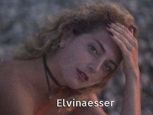 Elvinaesser