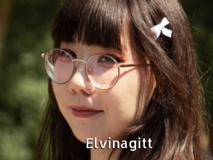 Elvinagitt
