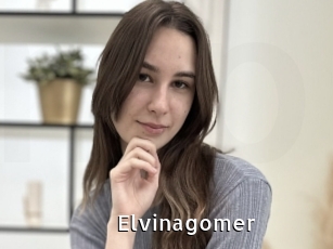 Elvinagomer