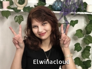 Elwinacloud