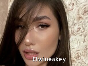 Elwineakey