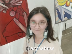 Elwynabuss