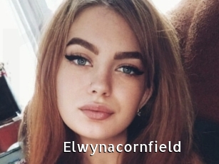 Elwynacornfield