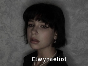 Elwynaeliot