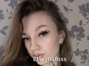 Elwynafoss