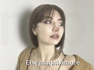 Elwynagallamore