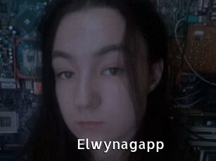 Elwynagapp