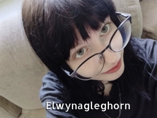 Elwynagleghorn
