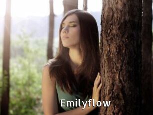 Emilyflow