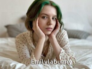 Emilylabunny
