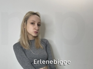 Erlenebigge