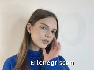 Erlenegriscom