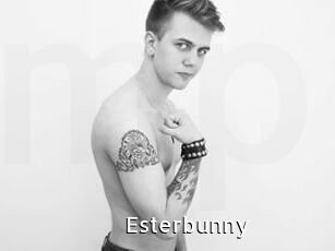 Esterbunny