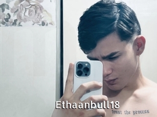Ethaanbull18