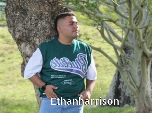 Ethanharrison