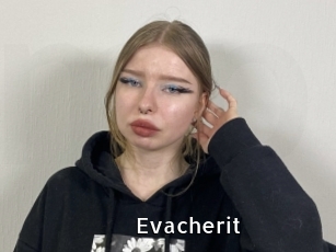 Evacherit
