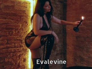 Evalevine