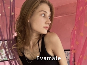 Evamate