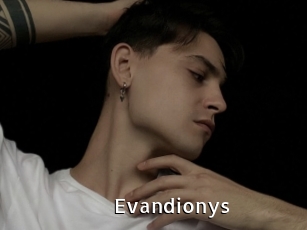 Evandionys