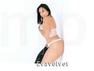 Evavelvet