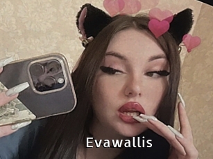 Evawallis