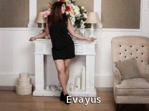 Evayus