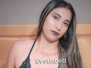 Evelinbelt