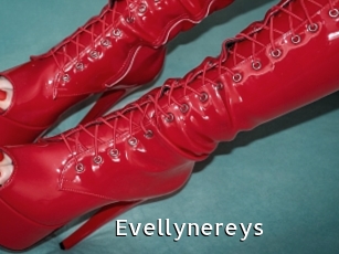 Evellynereys