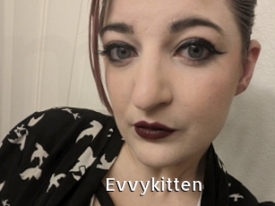 Evvykitten