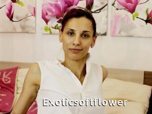 exoticsoftflower My Porno Stash