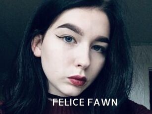 FELICE_FAWN