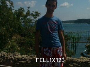 FELL1X123