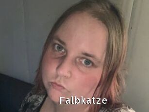 Falbkatze