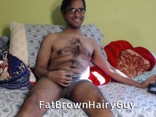 FatBrownHairyGuy