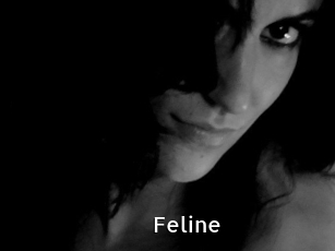 Feline My Porno Stash