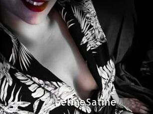 FelineSatine