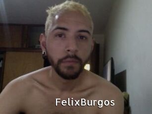FelixBurgos