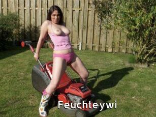 Feuchteywi