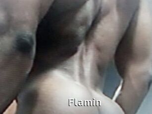 Flamin