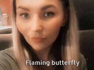 Flaming_butterfly