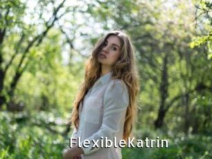 FlexibleKatrin