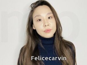 Felicecarvin
