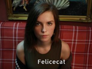 Felicecat