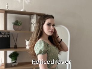 Felicedrover