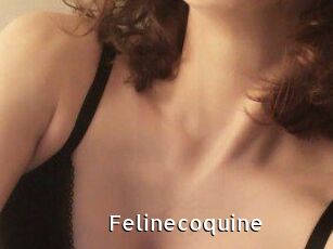 Felinecoquine