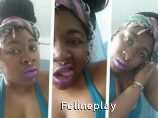 Felineplay