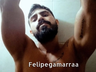 Felipegamarraa