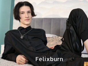 Felixburn